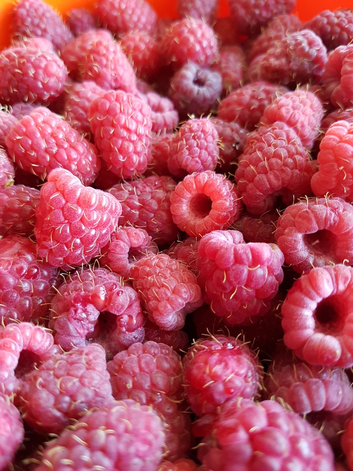 Yummy