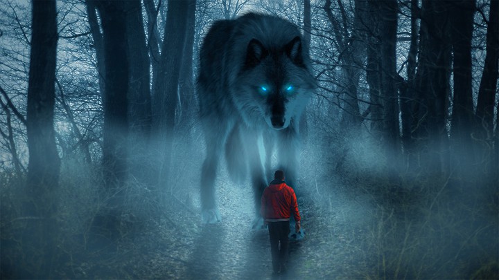 Man vs Wolf photoshop art