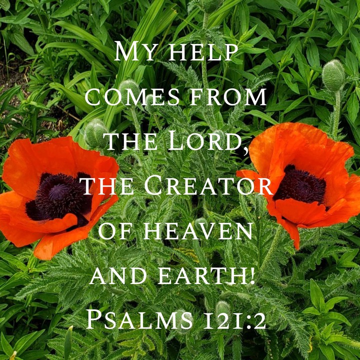 Psalm 121:2