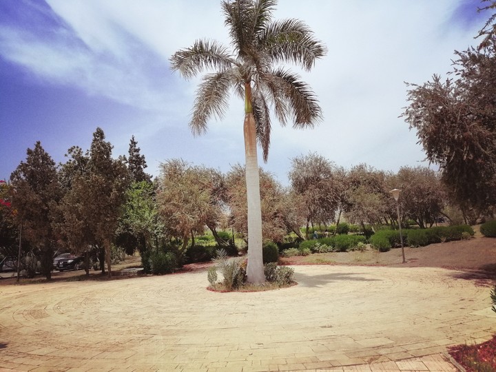 helwan uni