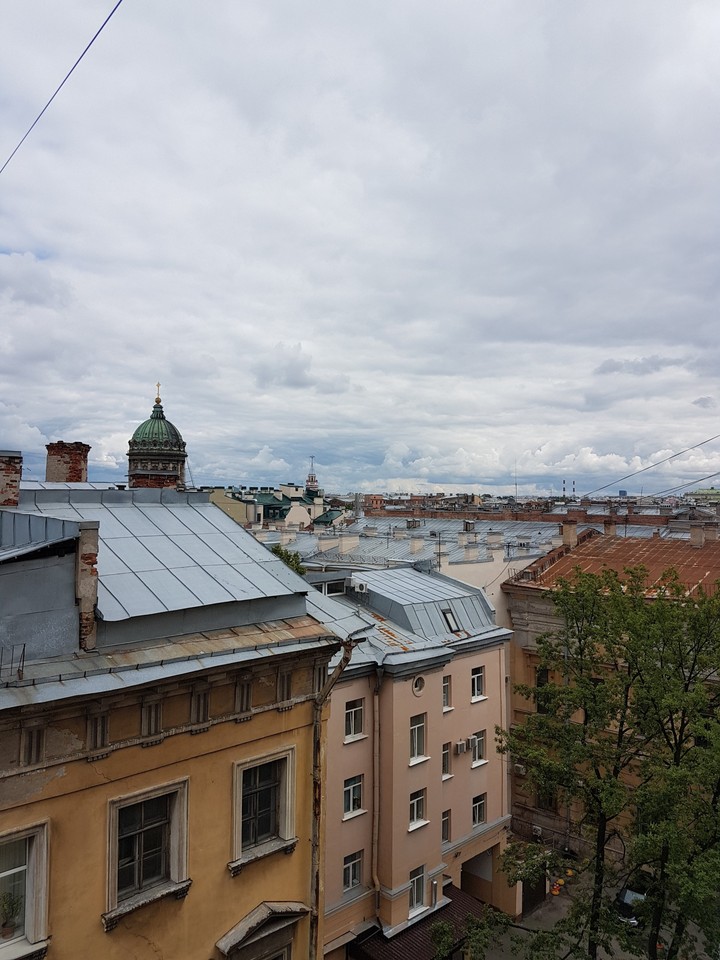 Saint-Petersburg in gray and gray
