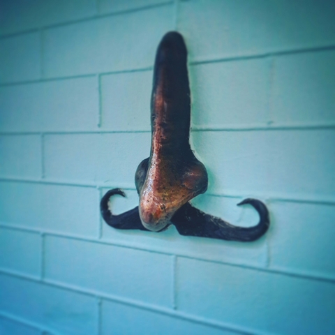 A nose!