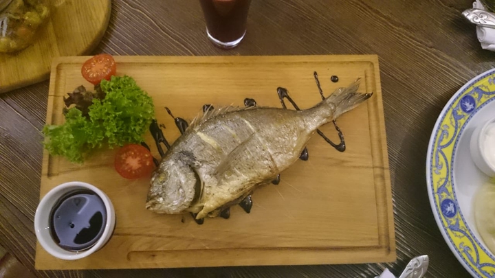 fish