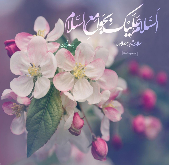 السلام علیک یا صاحب الزمان ♥️