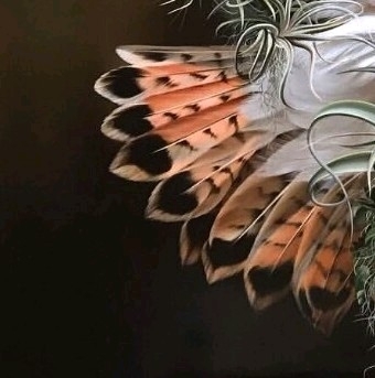 6x puzzle bird