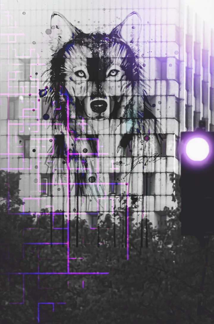 Wolf off colour