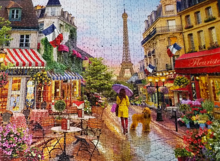 Paris puzzle view