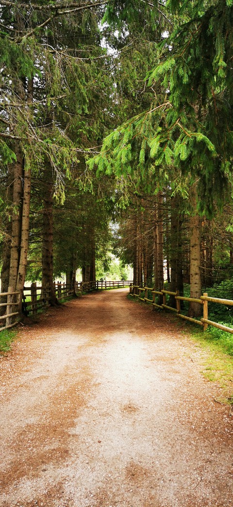 natura