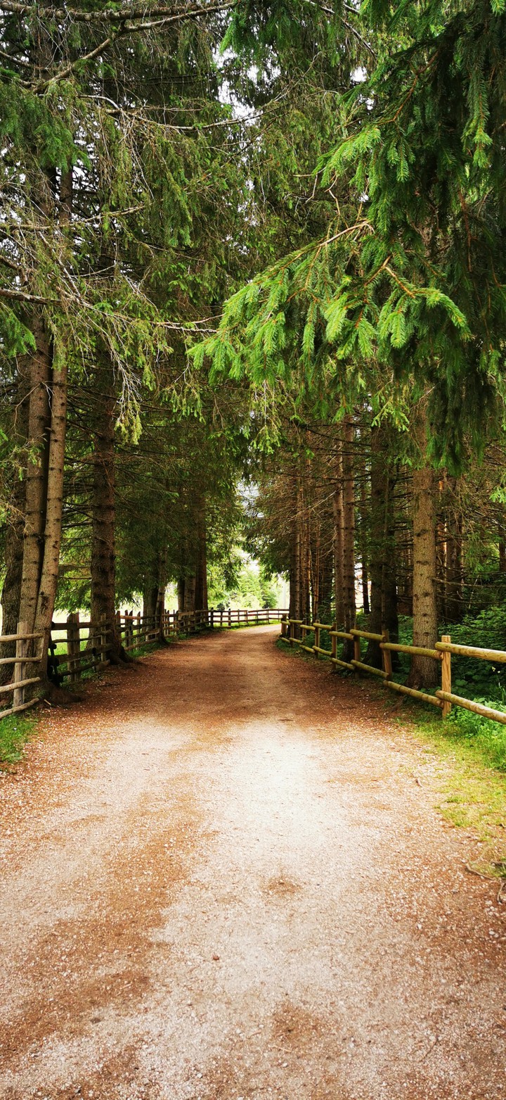 natura
