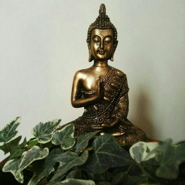 #budhhism