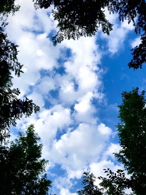 a fine day