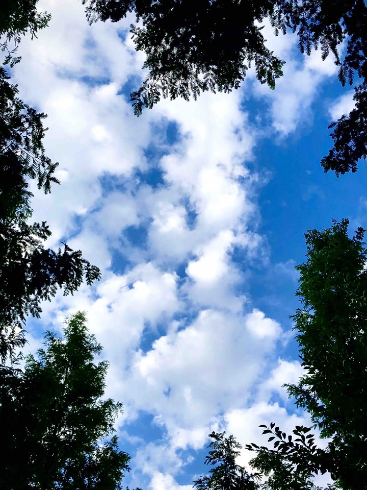 a fine day