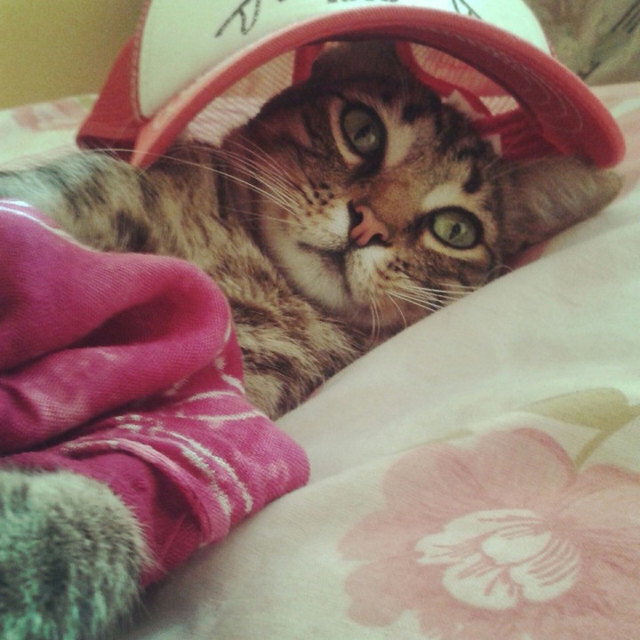 Pepper