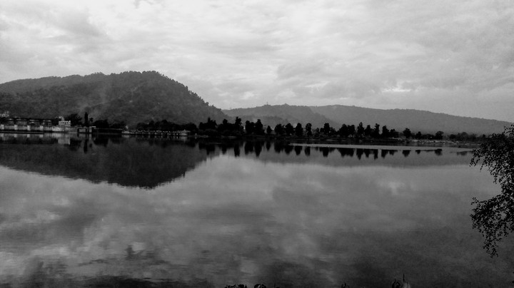 a reflecting evening