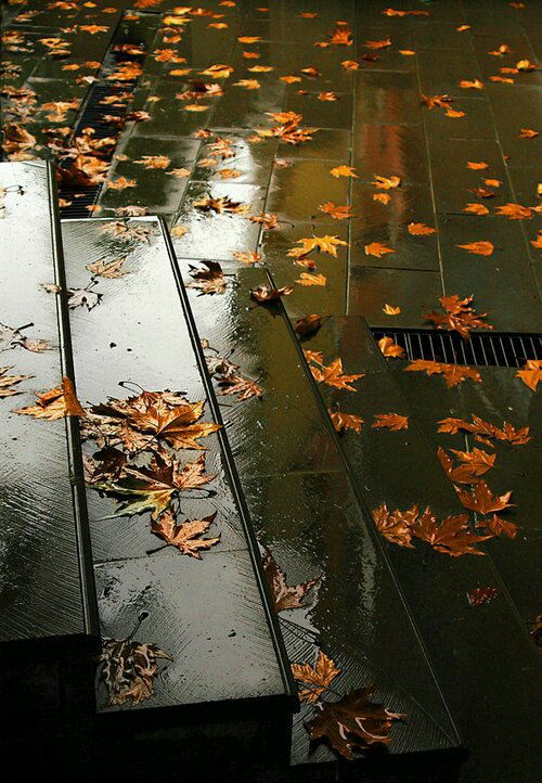 Autumn