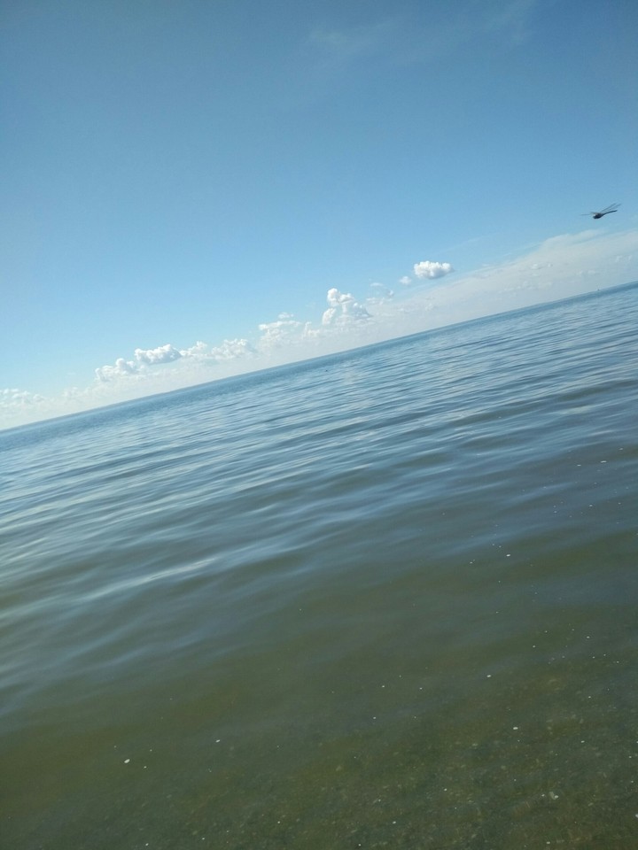 море