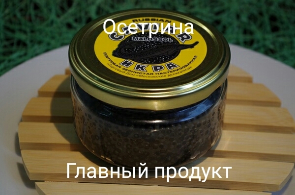 осетрина