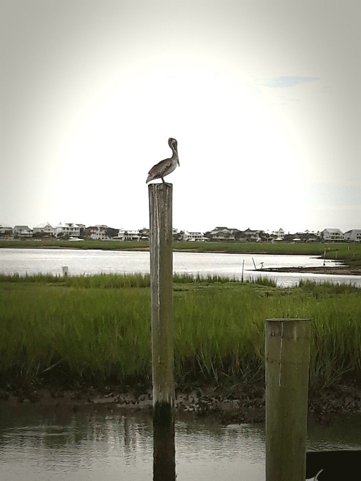 Myrtle Beach