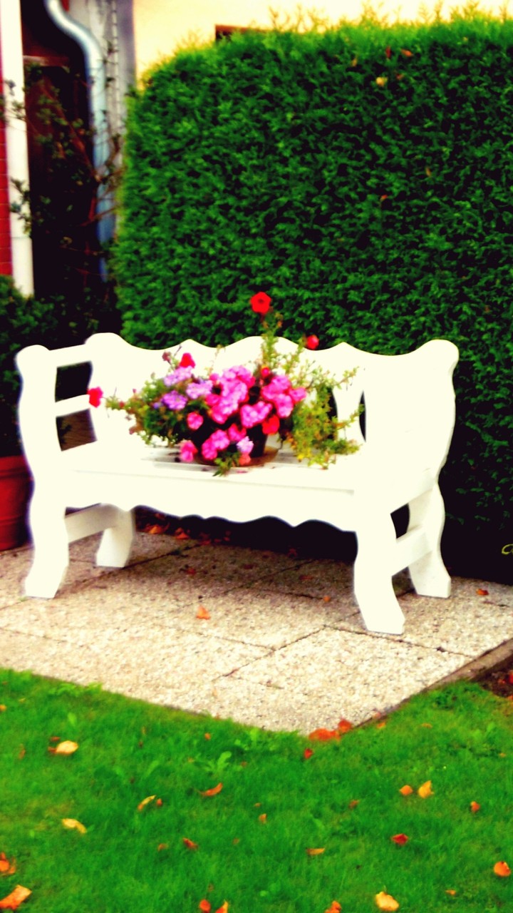 Bank mit Blumen
