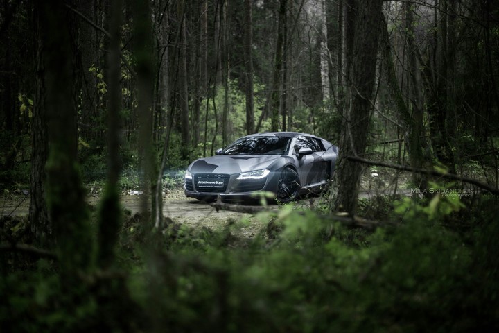 Audi R8