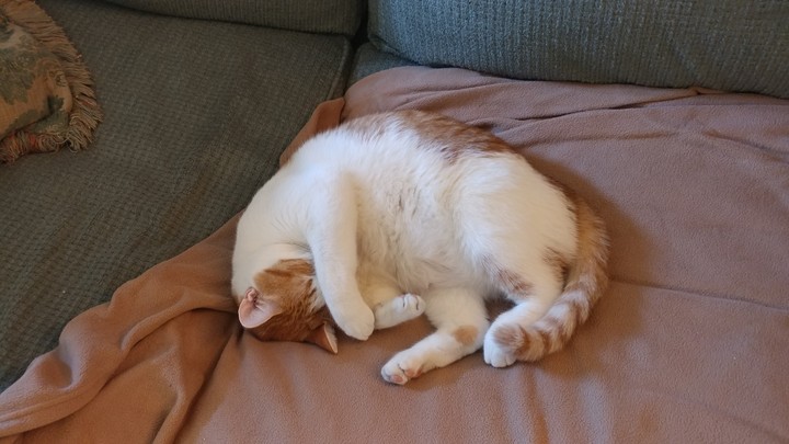 I am to tired to get up.