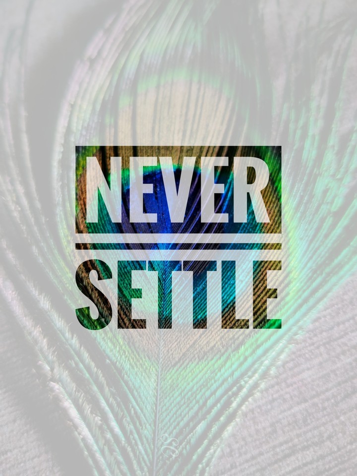 NEVER SETTLE