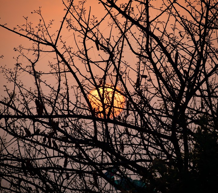 sunset