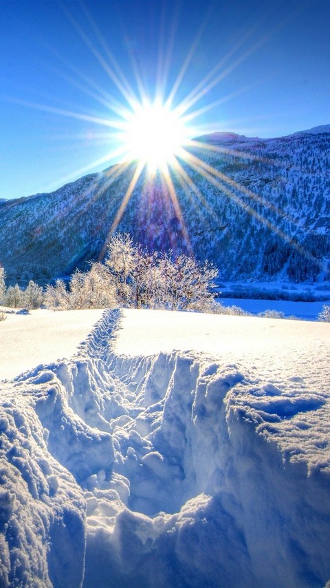 vinter