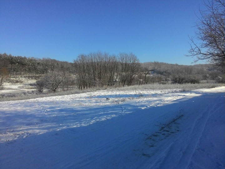 winter