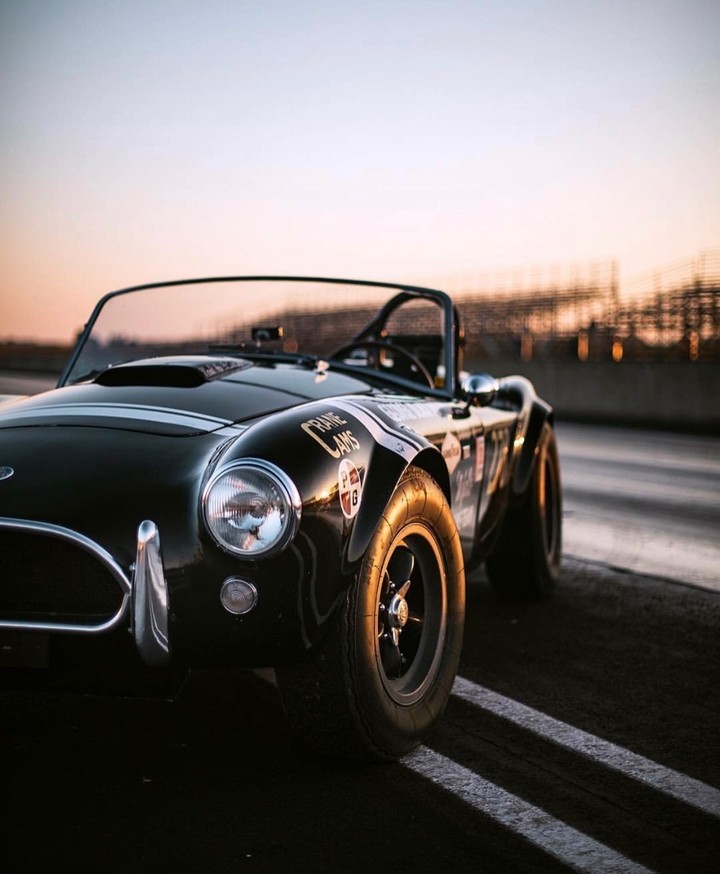 ✨