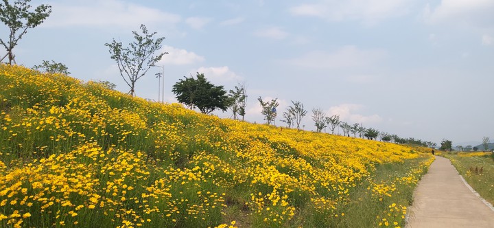 꽃길
