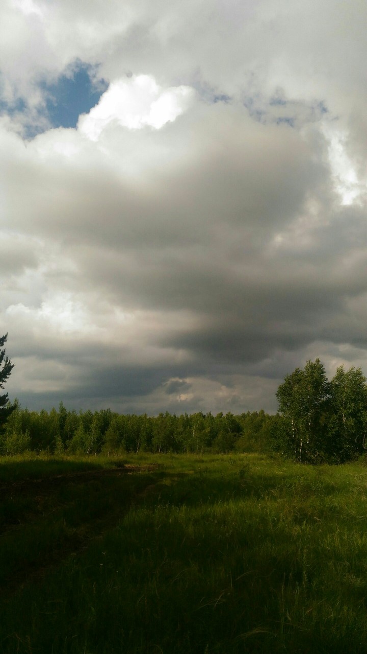лес