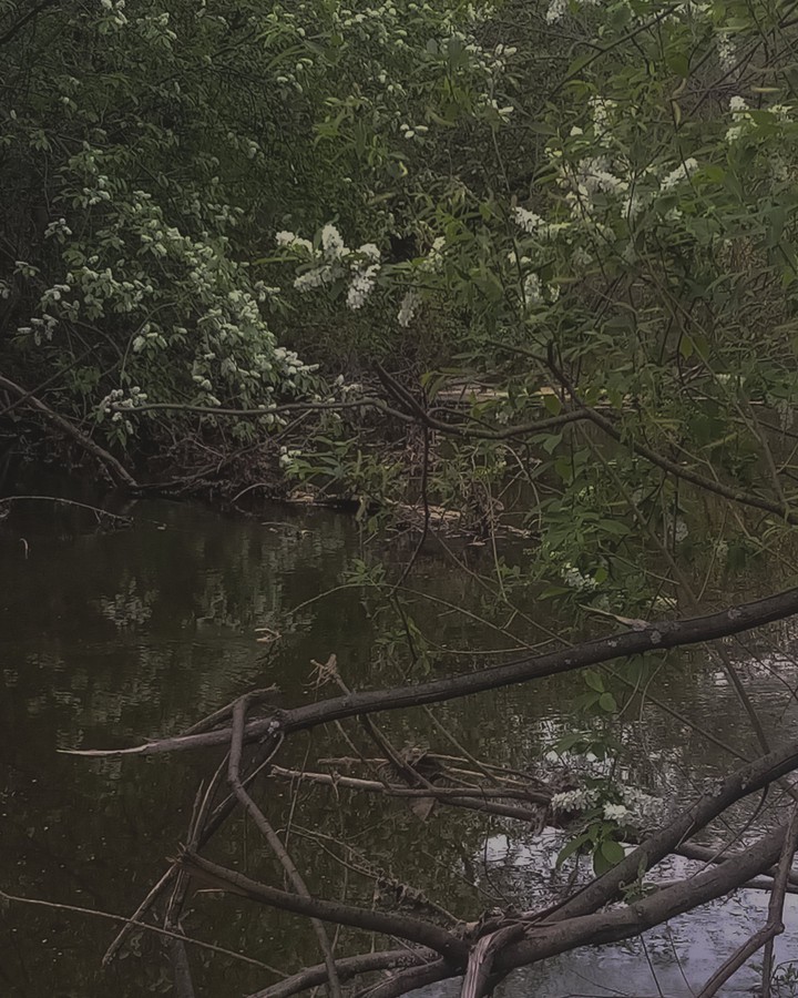 вода