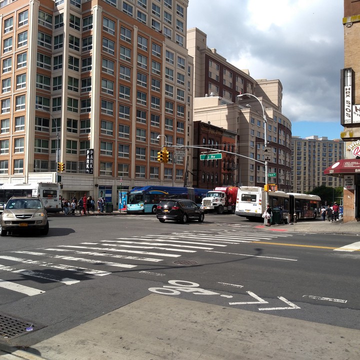 Bronx,ny