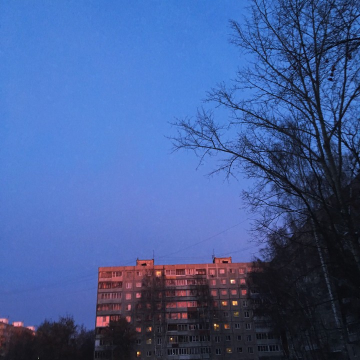 Morning