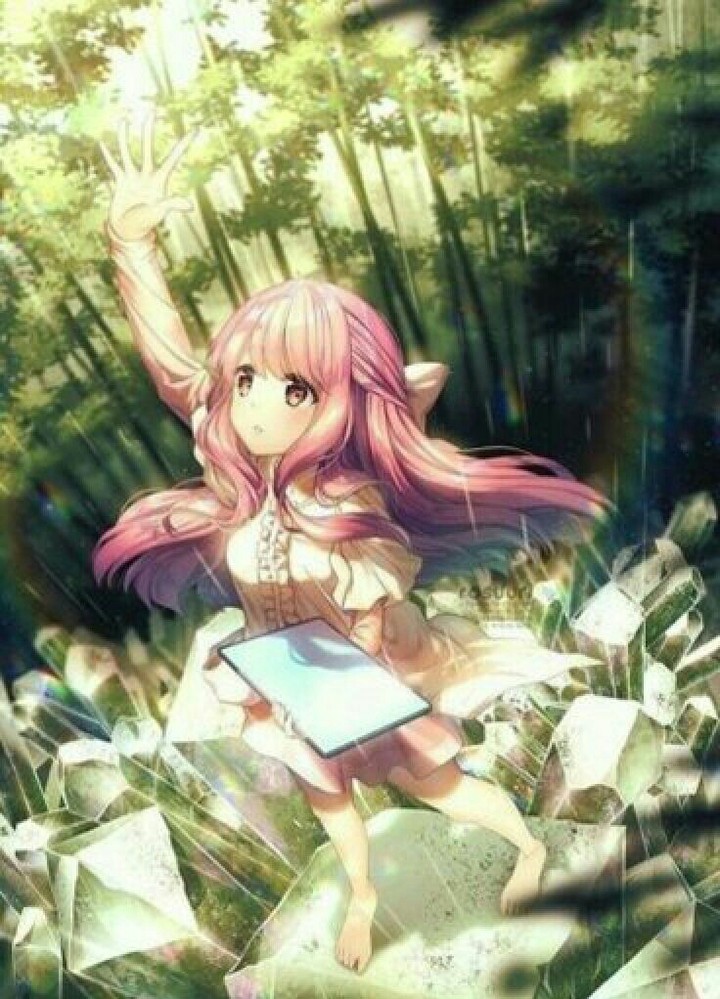 Shelter