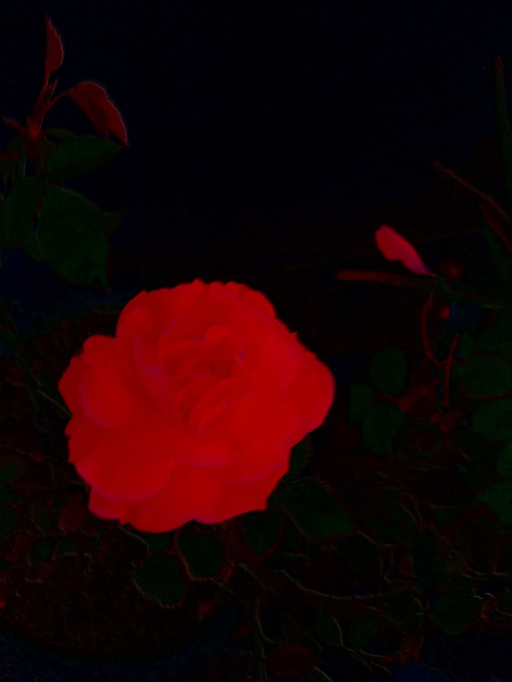 Red Glow