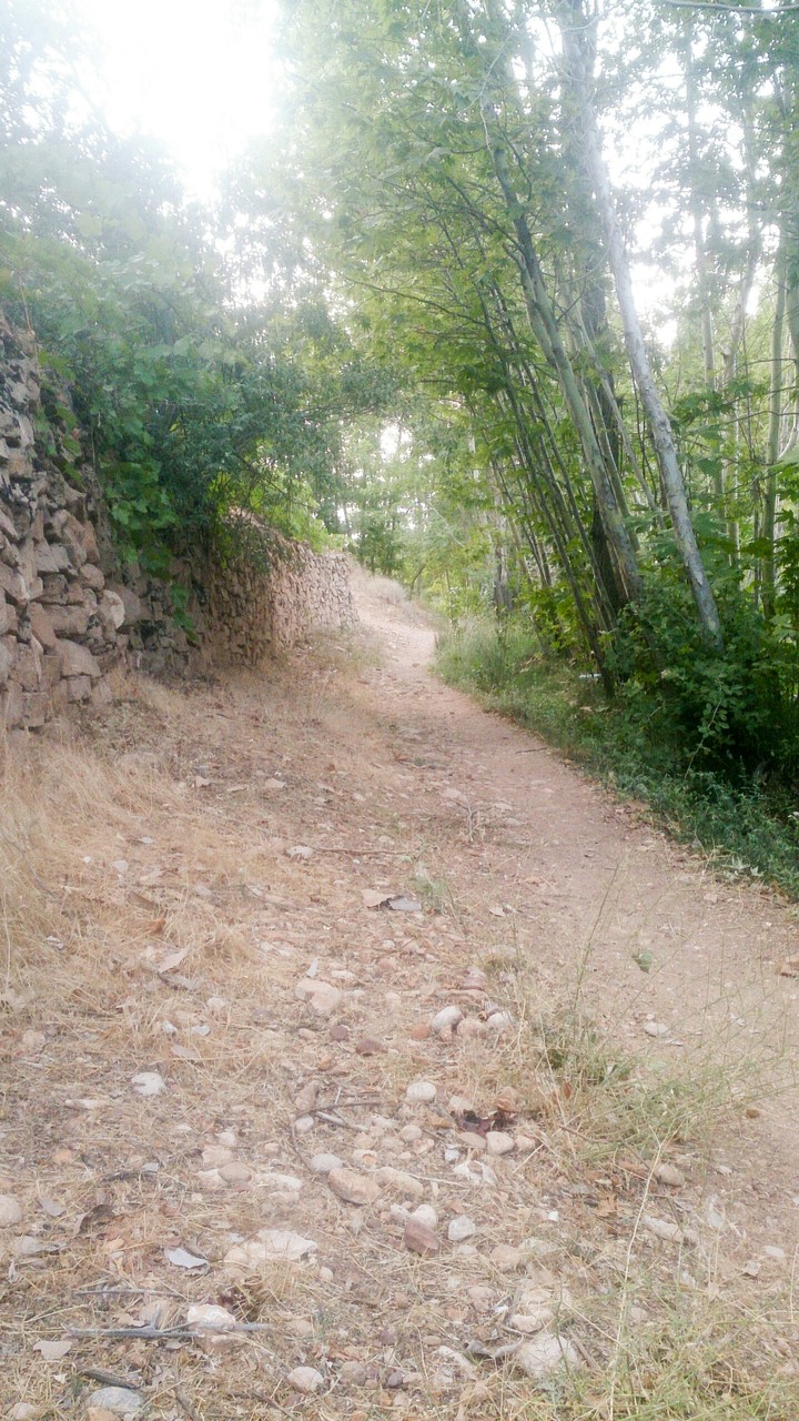 a garden street