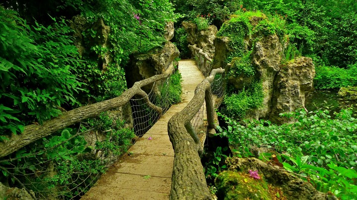 پل#زیبایی#منظره بکر#وسط حیاط خونم