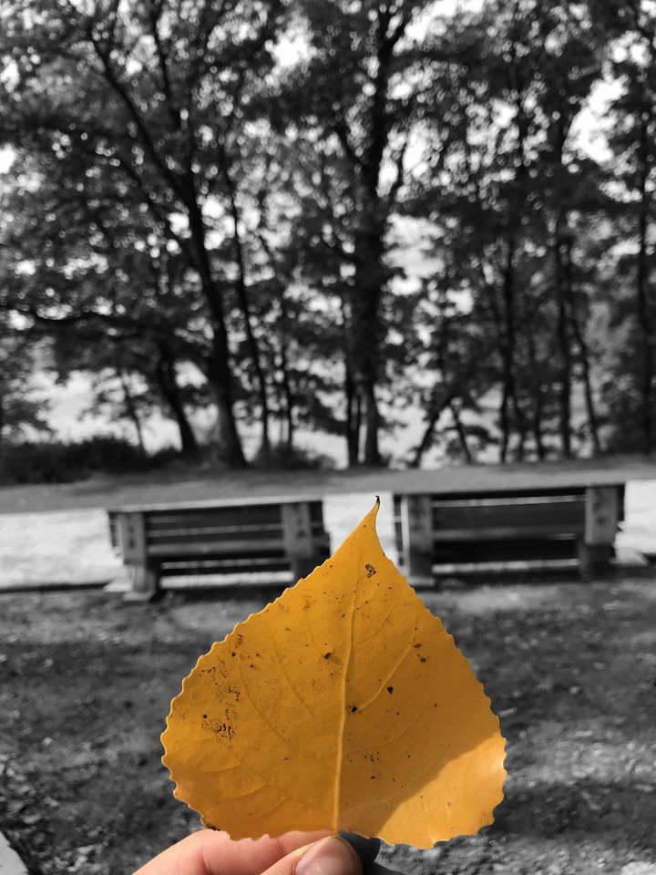 Autum