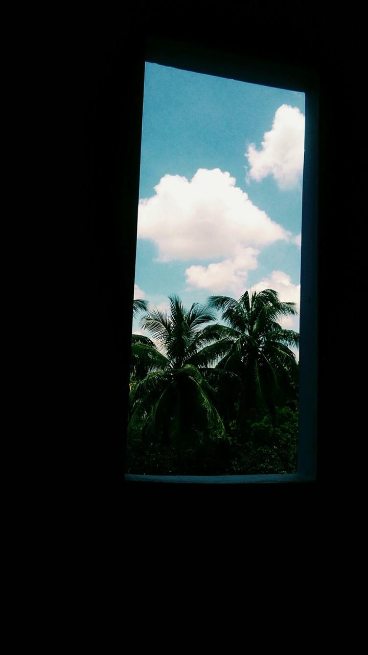 sky