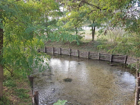 paesaggi