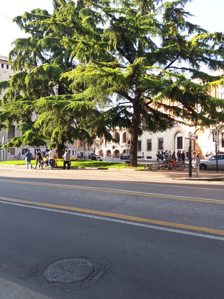 Verona
