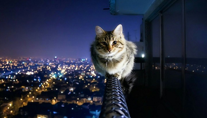 Night City