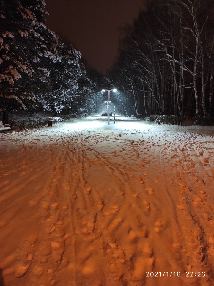 Winter