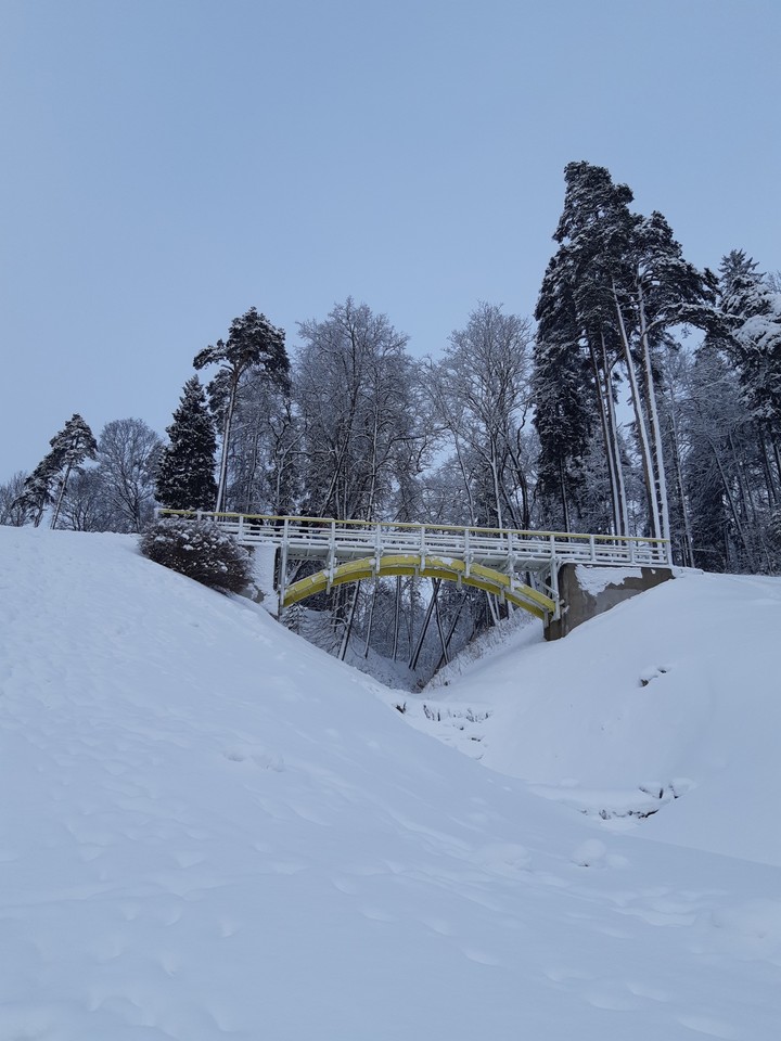 Brigde