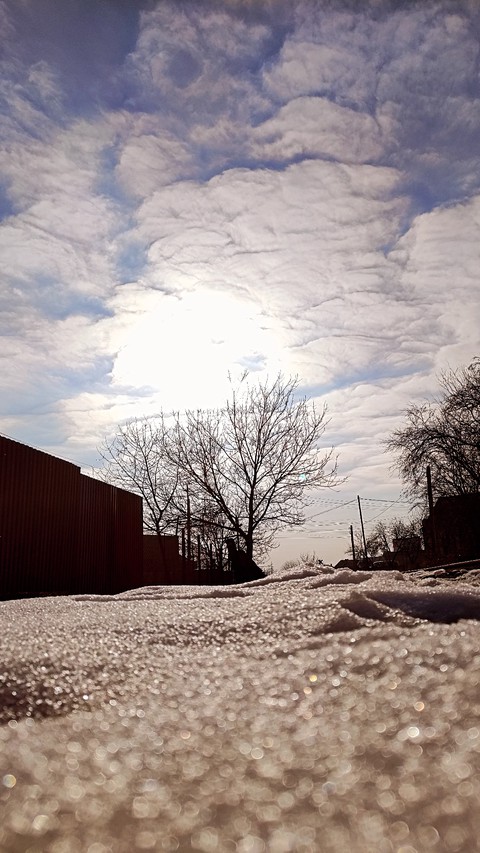 cloud, wood achtergronden