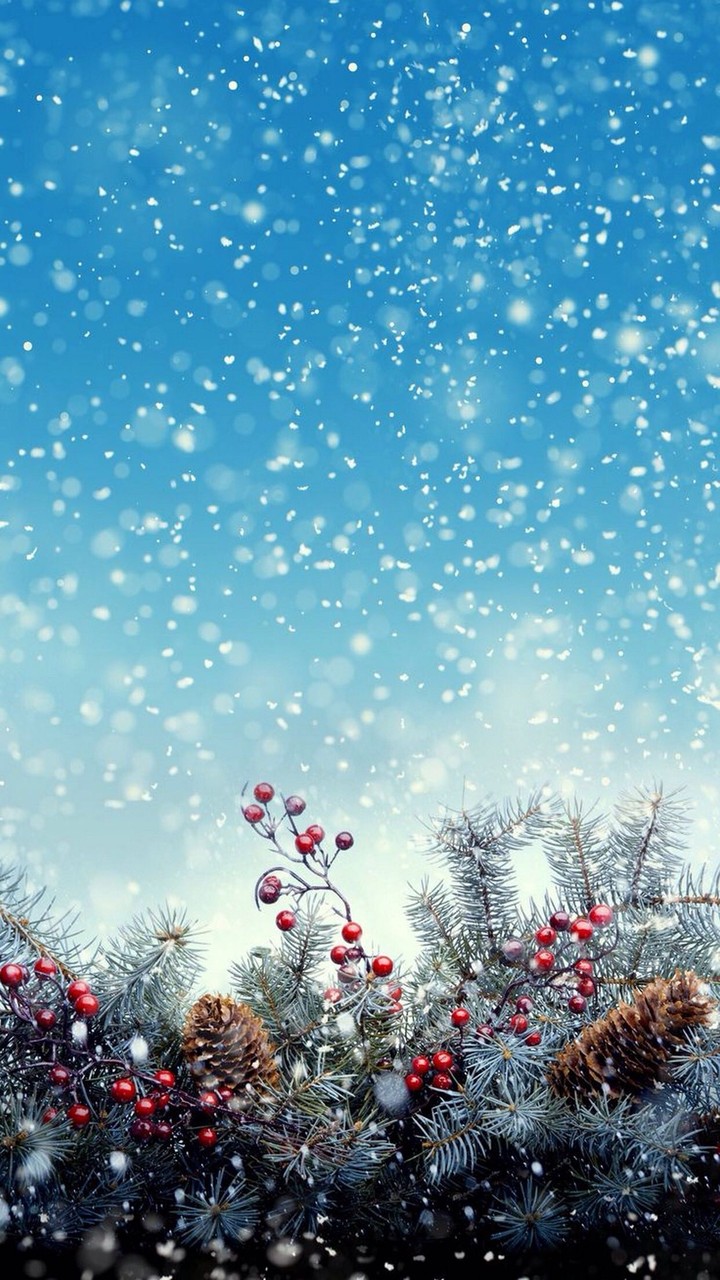 ❄️ Snow ❄️