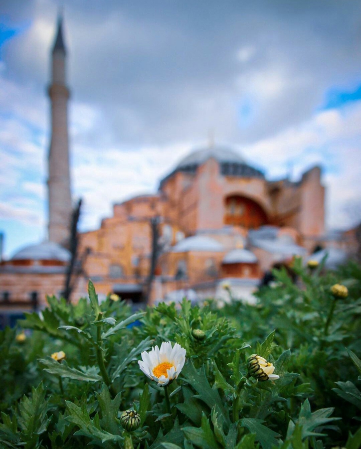 Türkiye, Ayasofya تركيا، آياصوفيا