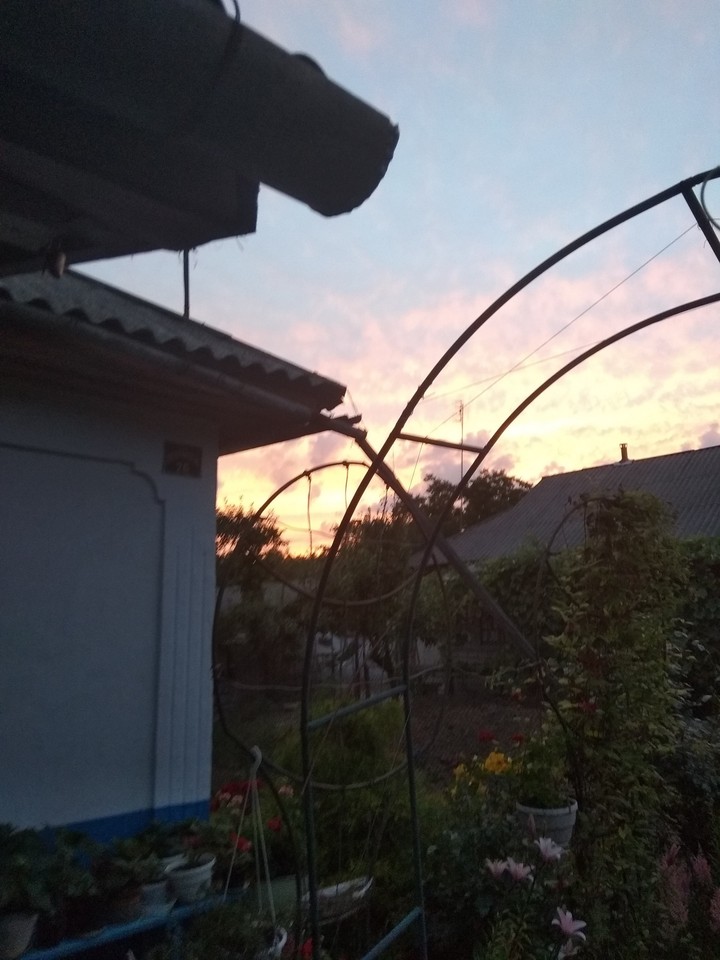 Evening